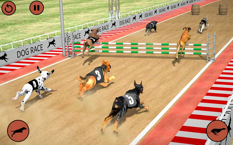 Cách Chơi Game Nhanh Đua Chó Tại Luck8 Chuẩn Xác Nhất