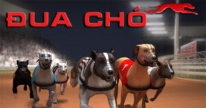 Cách Chơi Game Nhanh Đua Chó Tại Luck8 Chuẩn Xác Nhất